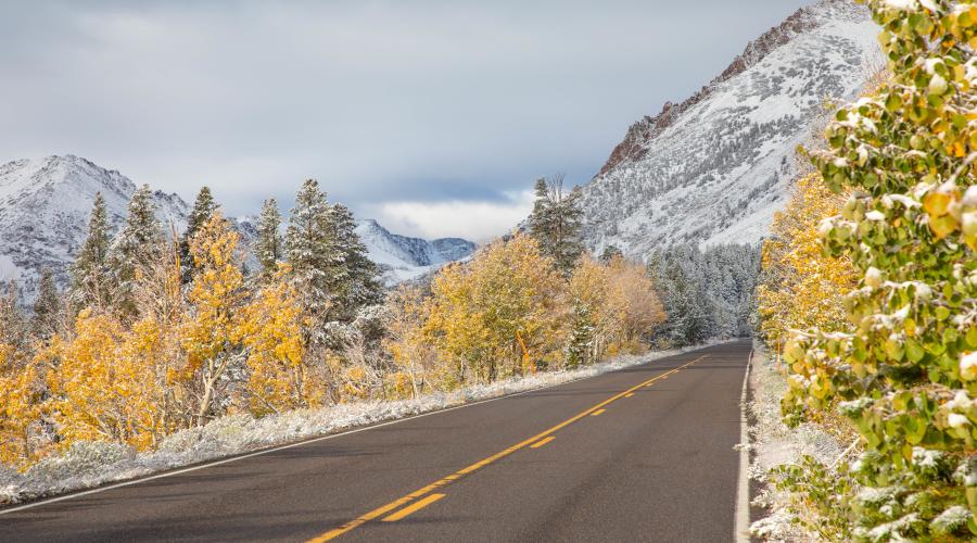 Virginia Lakes Road