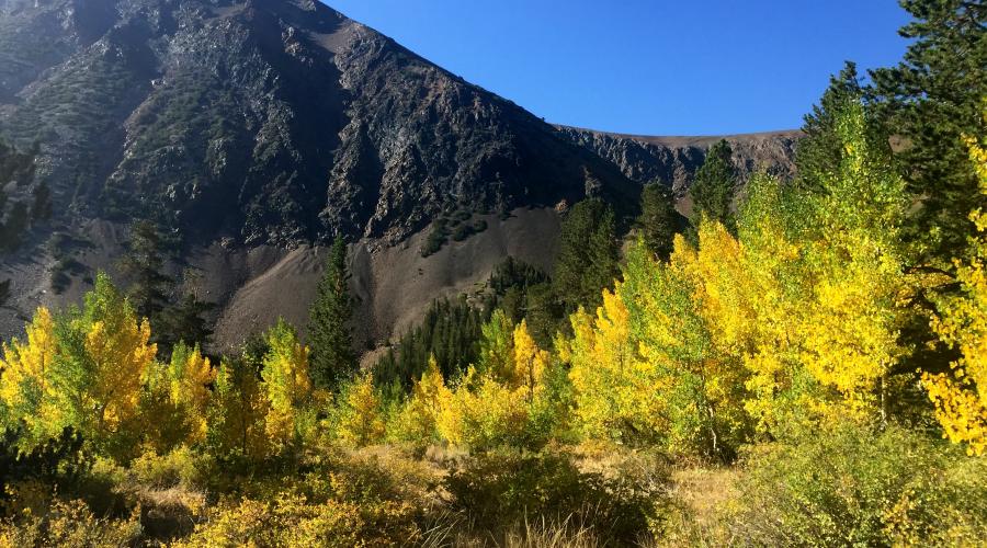 Virginia Lakes on 9.11.16