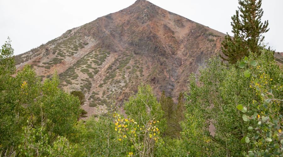 Virginia Lakes Fall Colors