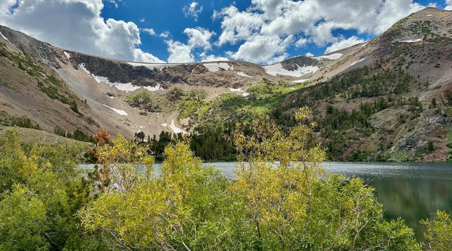 Virginia Lakes Fall Colors