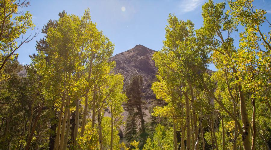 Virginia Lakes