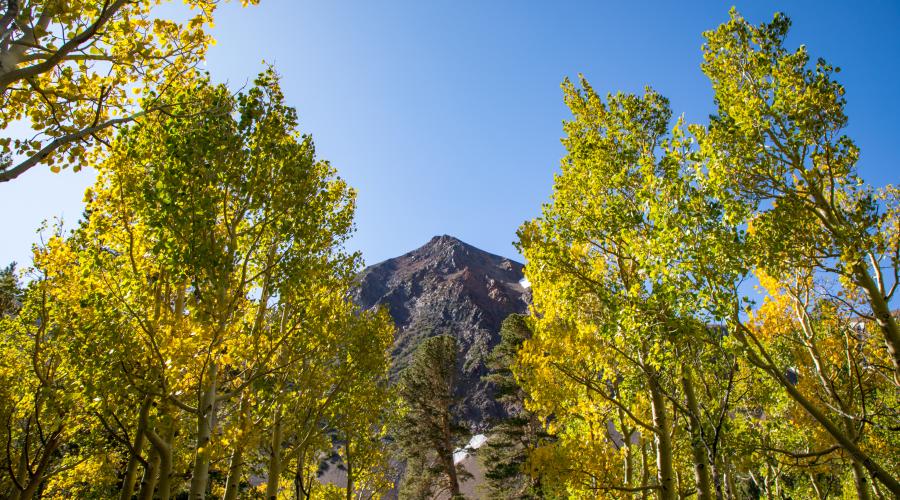 virginia lakes fall colors