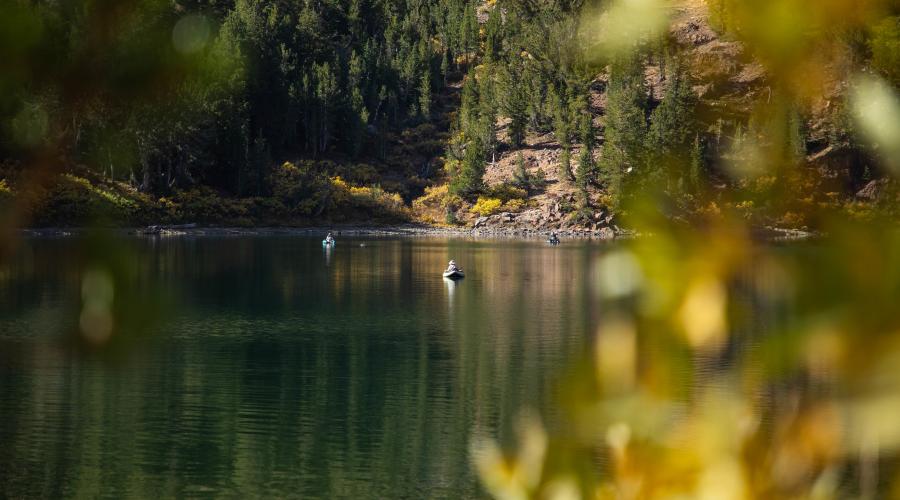virginia lakes fishing
