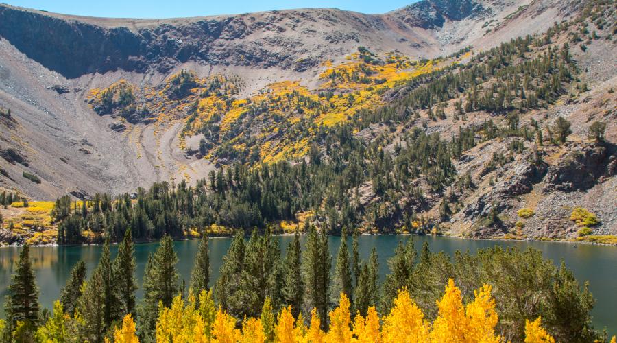 Virginia Lakes Fall Colors