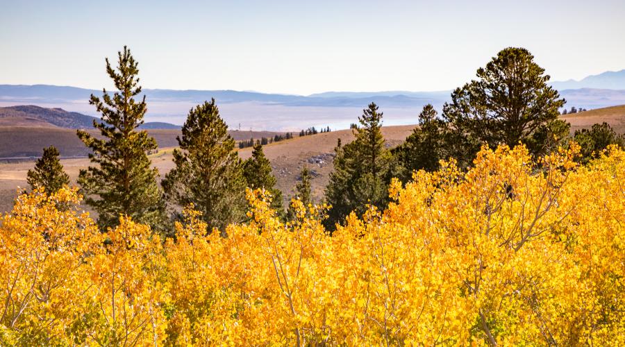 Virginia Lakes