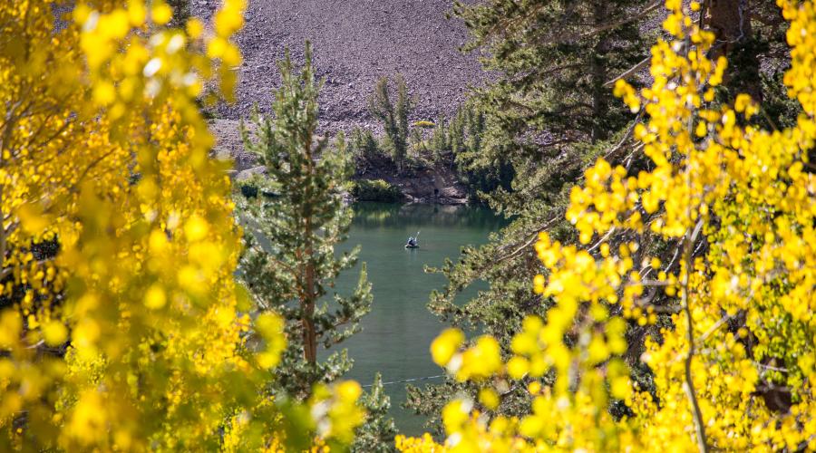 Little Virginia Lakes Fishing Fall Colors