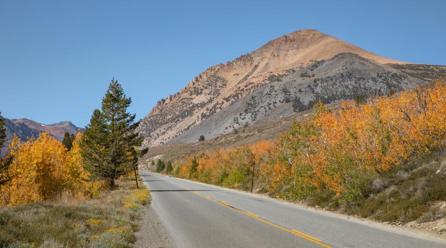 Lower Virginia Lakes Road