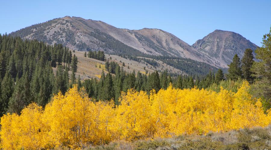 Virginia Lakes