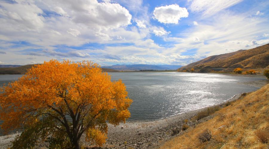 Topaz Lake Fall Colors