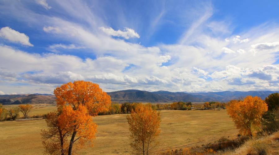 Fall Colors in Walker