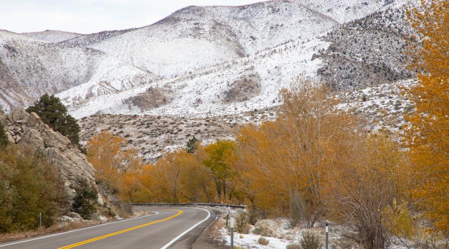 US 395 Walker Canyon