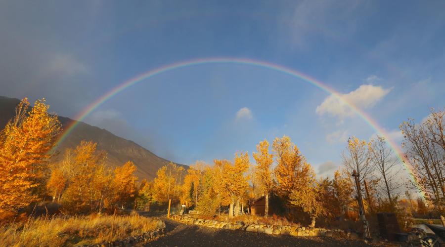 Rainbow in Fall