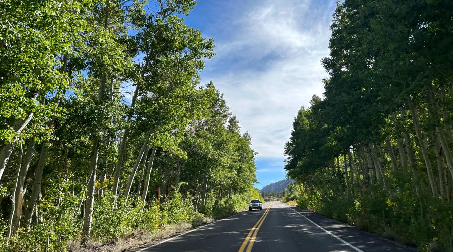 9.23.24 Rock Creek Road fall colors