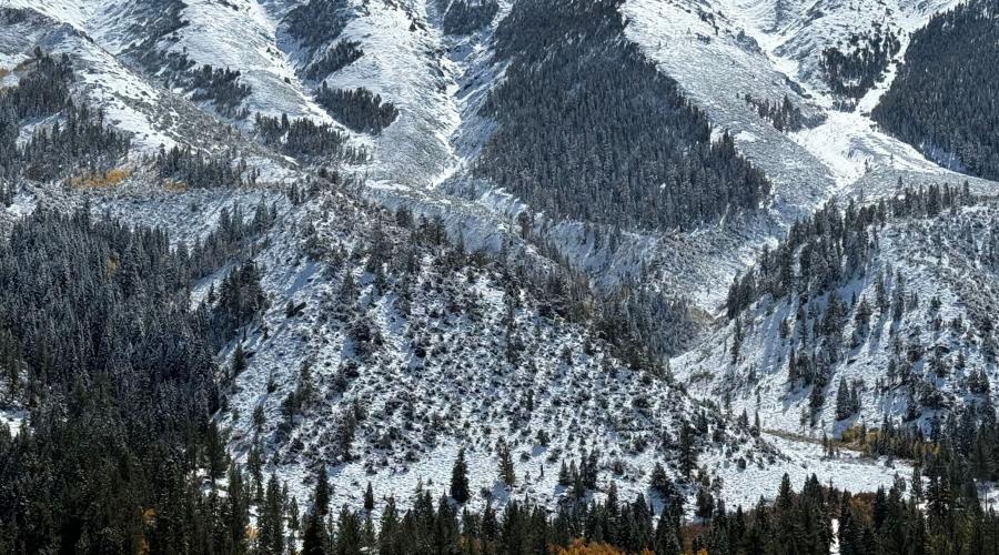 10.15.25 Twin Lakes, Bridgeport - Amanda Carlson, Mono County Tourism