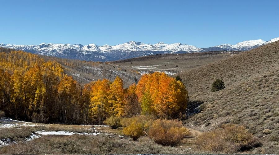 10.19.25 Lobdell Road - Amanda Carlson, Mono County Tourism