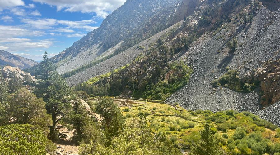 Lundy Canyon creek and ponds - Sep 17 2024 - Mono County Tourism