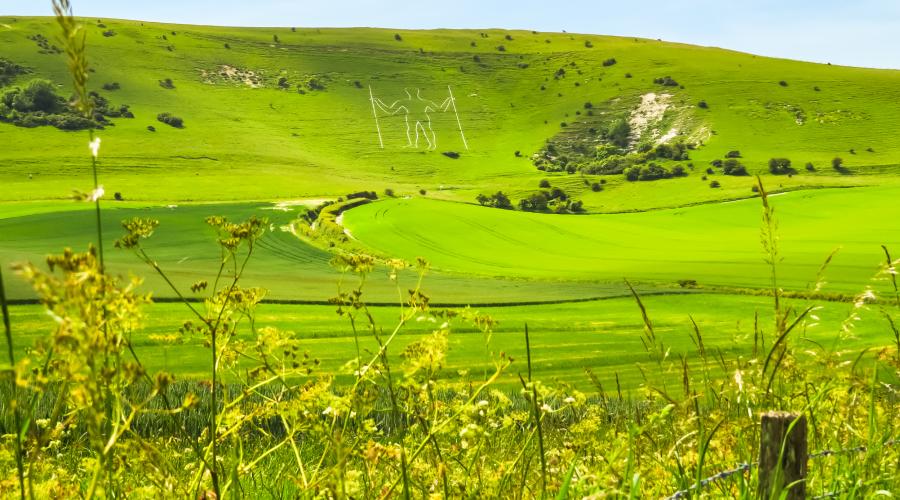 Longman of Wilmington near Alfriston in the distance