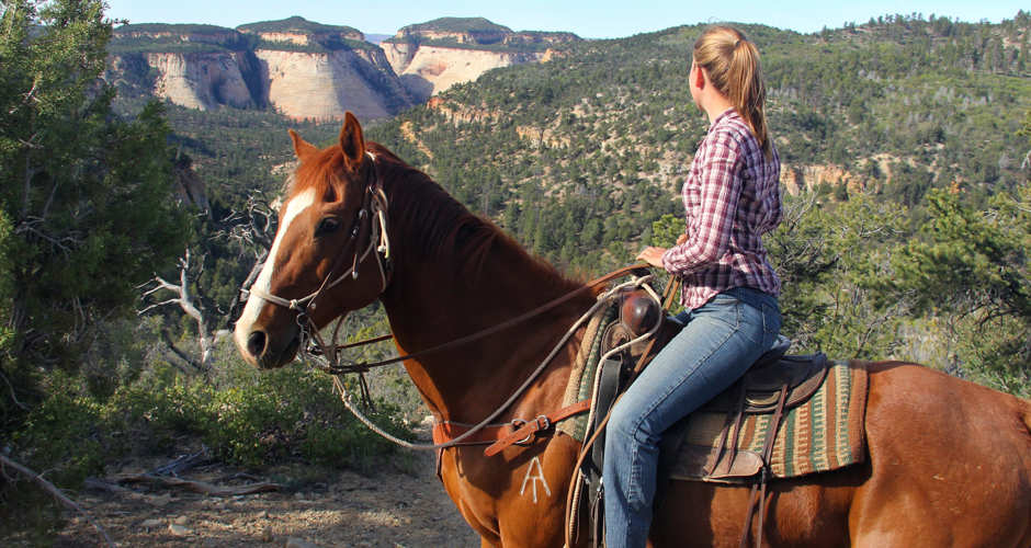 Horseback rider riding on a horse in Zion National Park