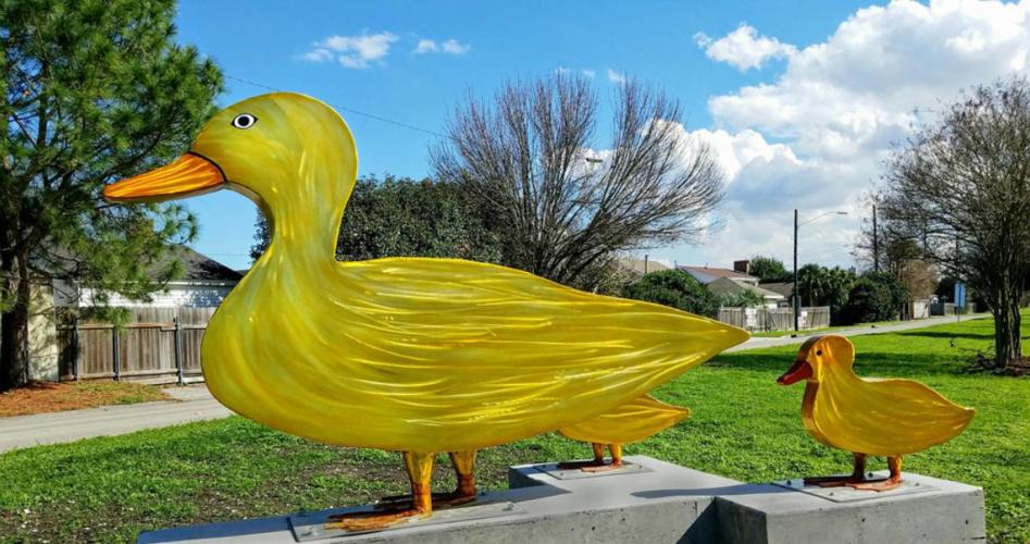 Duck Crossing