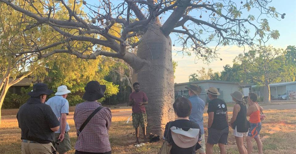 Boab Tree with Lamartij Tours in Derby, Western Australia