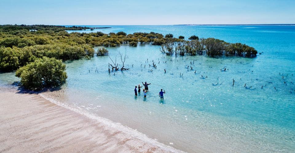 The ocean and mangroves on the Dampier Peninsula