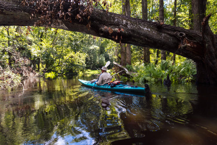 Get Organized With a Guided Tour of Tampa Bay