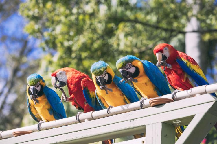 ZooTampa