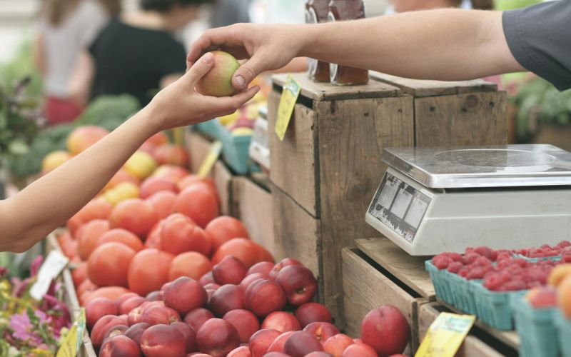 Galena Territory Farmers Market with fresh produce and vendors