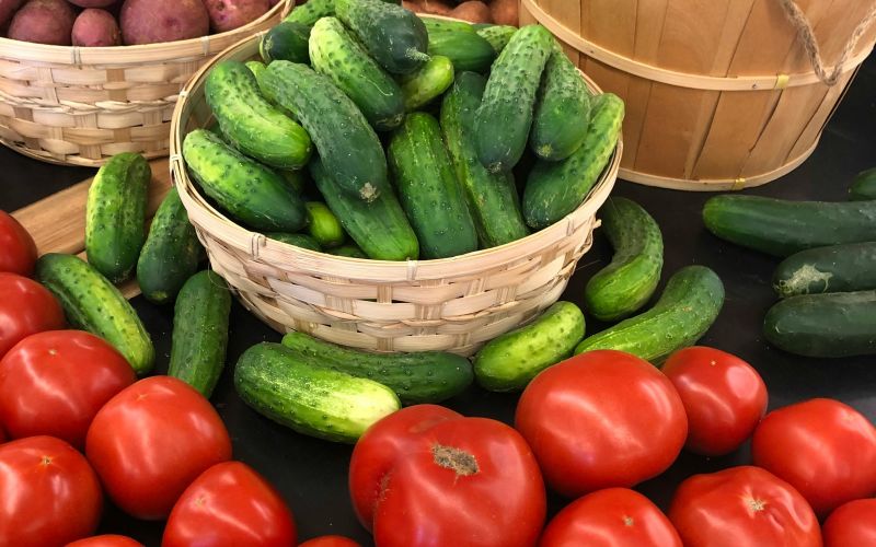 Small-town harvest festival in Elizabeth, Illinois