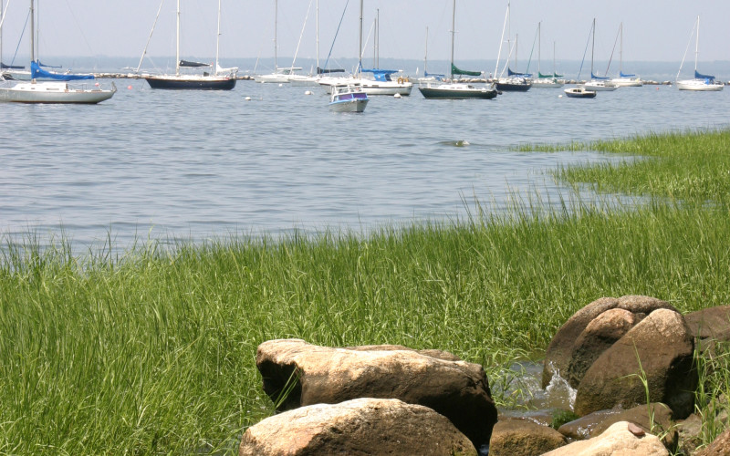 Garvies Point Museum & Preserve Discover Long Island