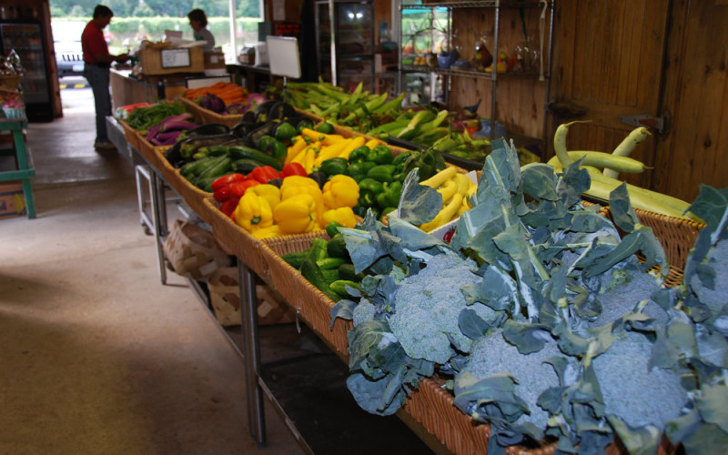 Borellas Farmstand | Discover Long Island