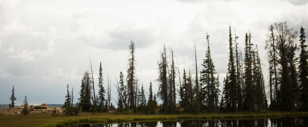 best uinta backpacking trips