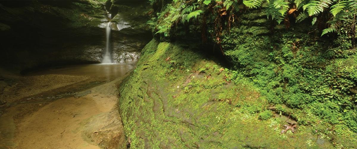 Turkey Run State Park waterfall