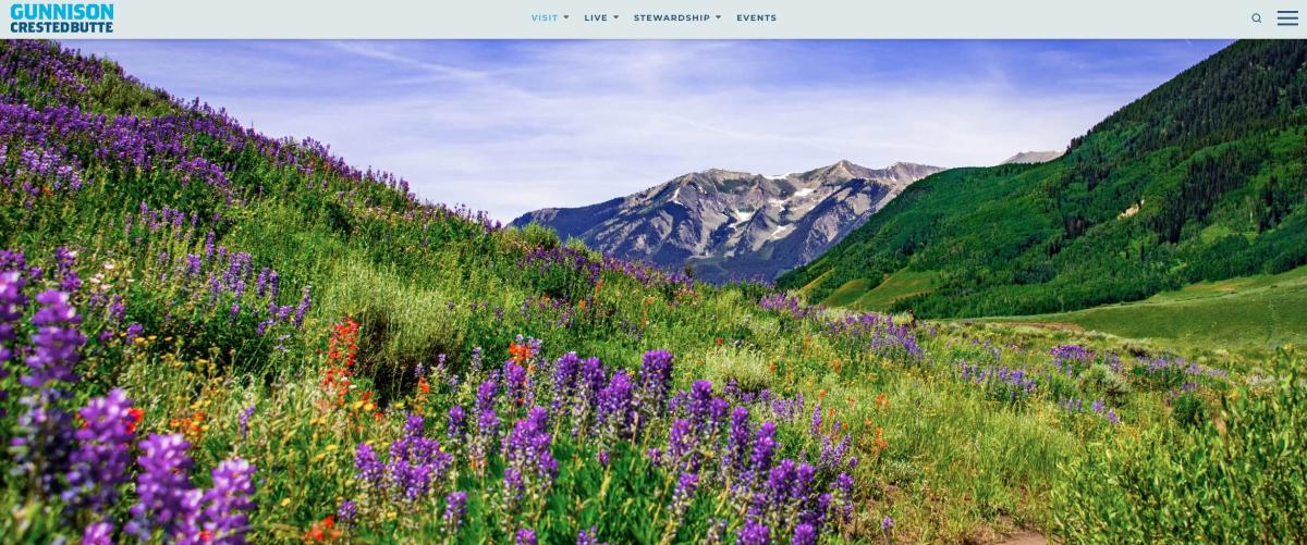 Wildflowers line a valley in Crested Butte, Colorado.