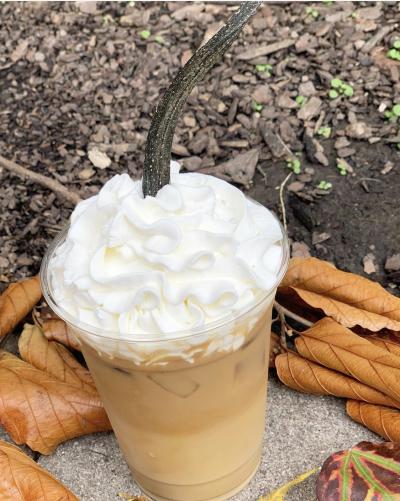 Stauf's Coffee Iced Pumpkin Latte