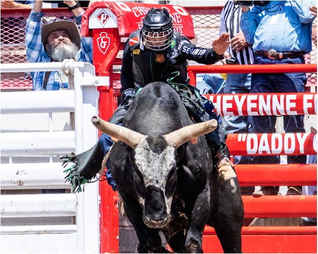 cowboy riding large bull in rodeo