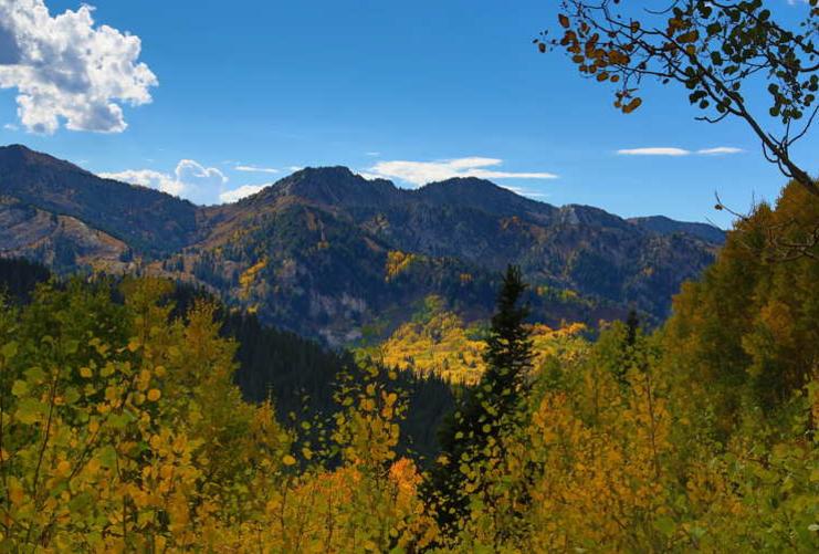 Utah mountains with early autumn leaves