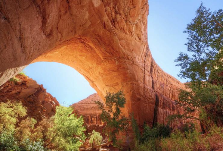 View under Hamblin Arch at Grand Staircase National Monument