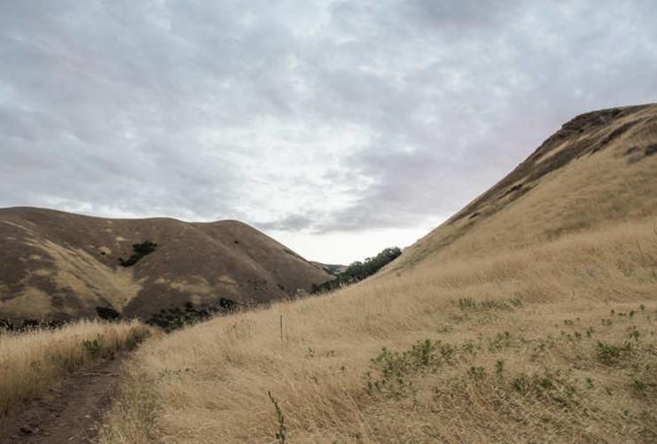 Grassy hill and hiking trail near Salt Lake City
