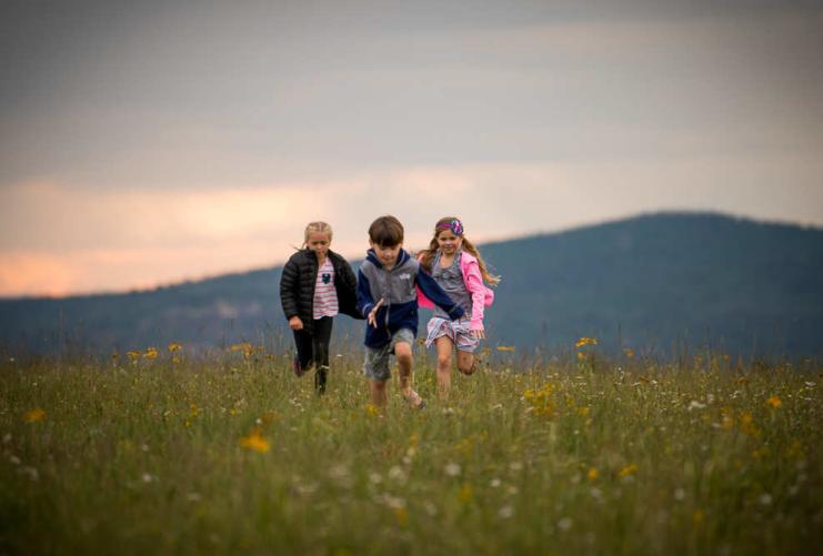 Three children running in a mountain meadow