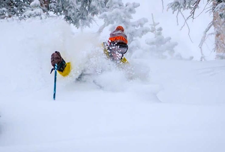 Skier in Deep Powder