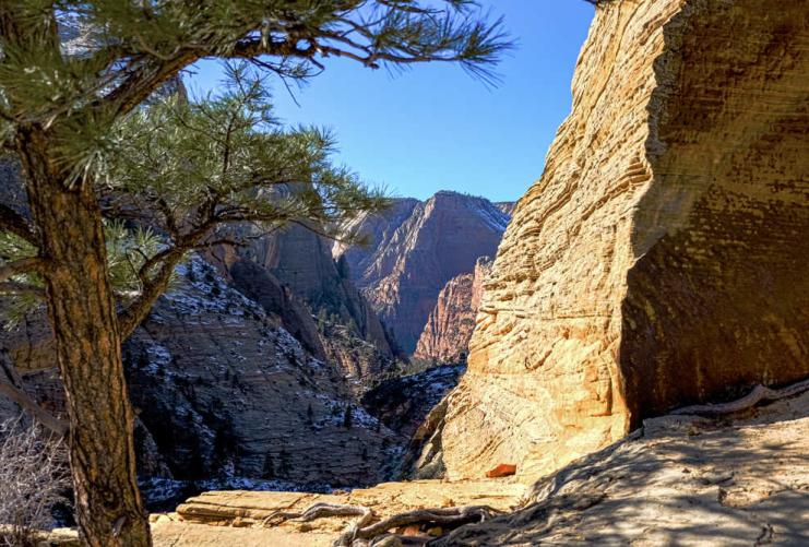This is a view from the trail leading towards Observation Point in Zion National Park in southern Utah.