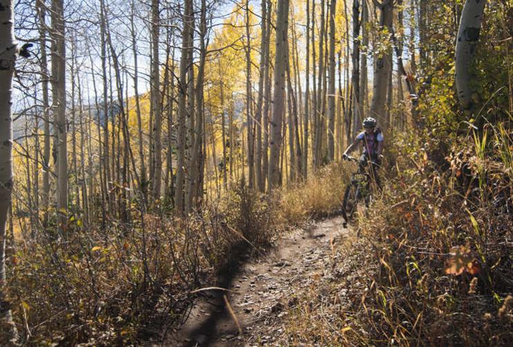 Mountain biker riding on trail with aspen trees during the fall