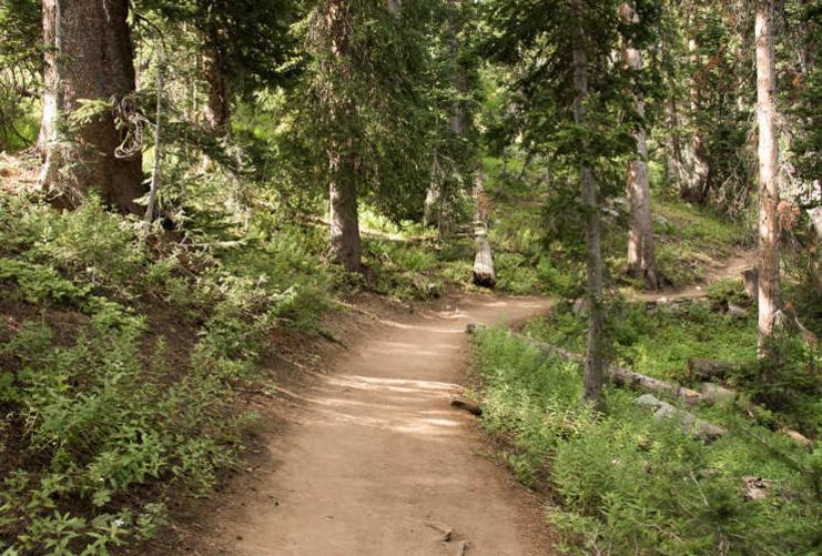View of the trail to the Brighton Lakes