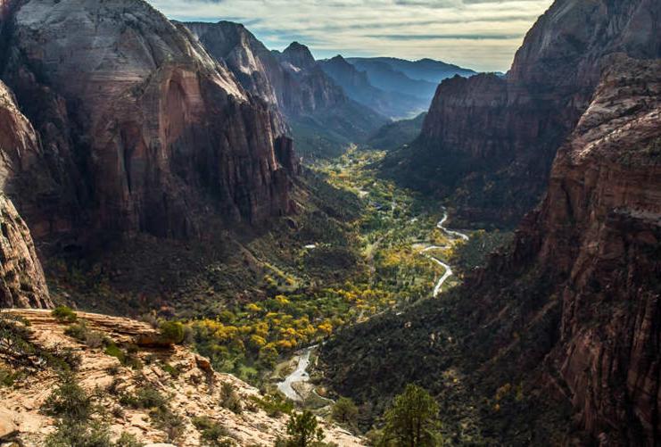 View of the Virgin River in Zion National Park