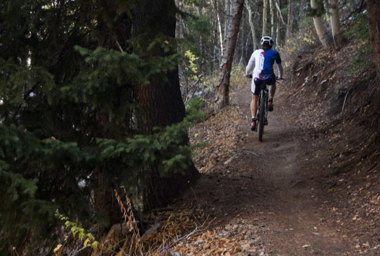 Mountain Biker along a wooded trail