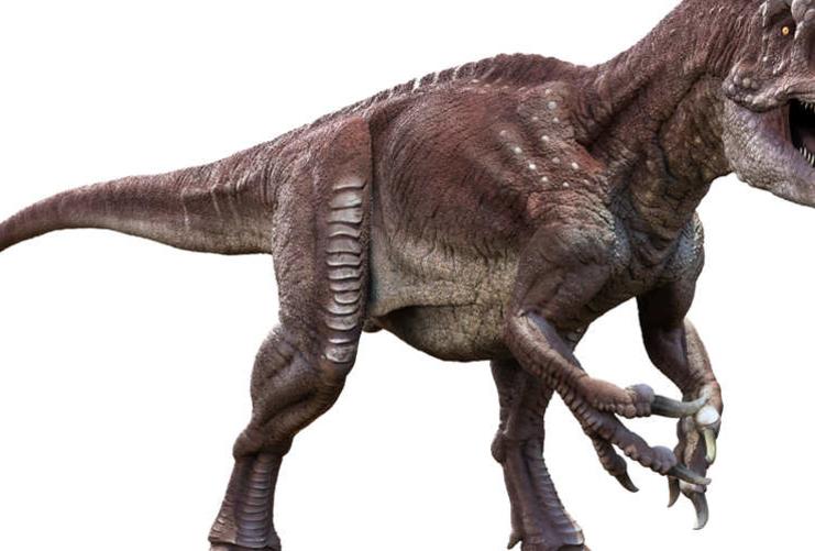 T-Rex type of dinosaur