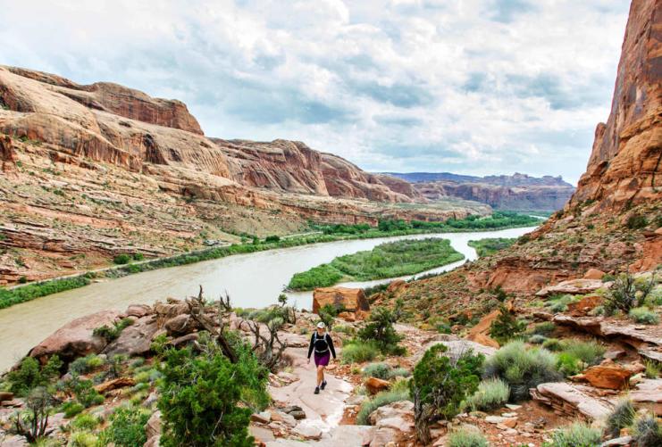 Hiker by the green banks of the Colorado River