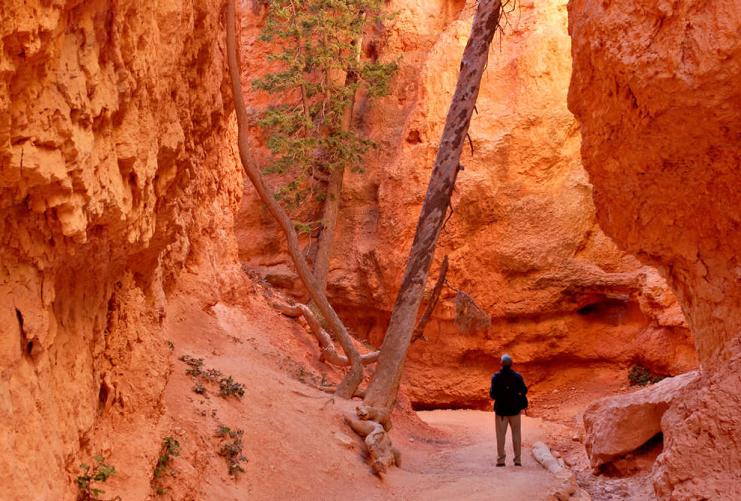 Hiker in narrow slot canyon in Bryce Canyon National Park
