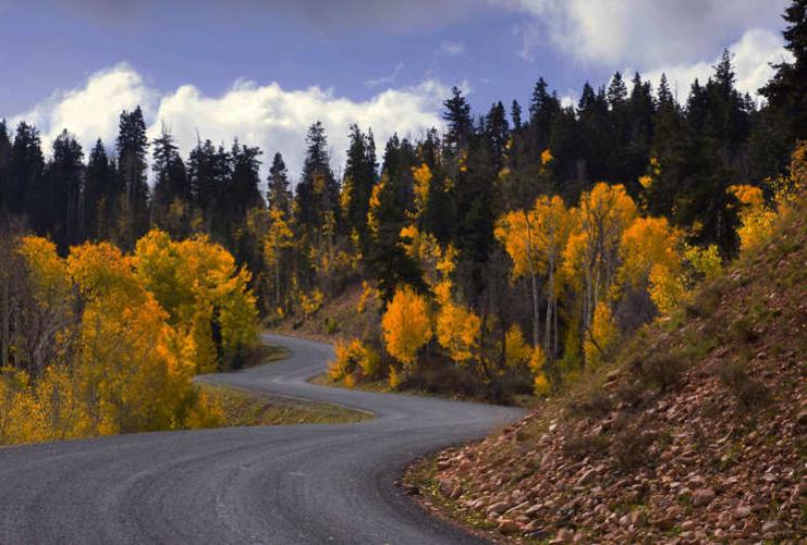 Mount Nebo Scenic Loop with Fall Leaves